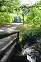 Idyllische Wanderwege am Stadtrand